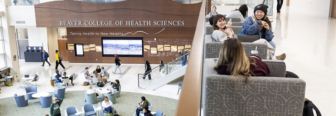 Students are seen studying and socializing at the Beaver College of Health Sciences.