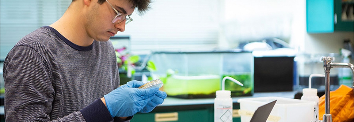 A student does research in a lab